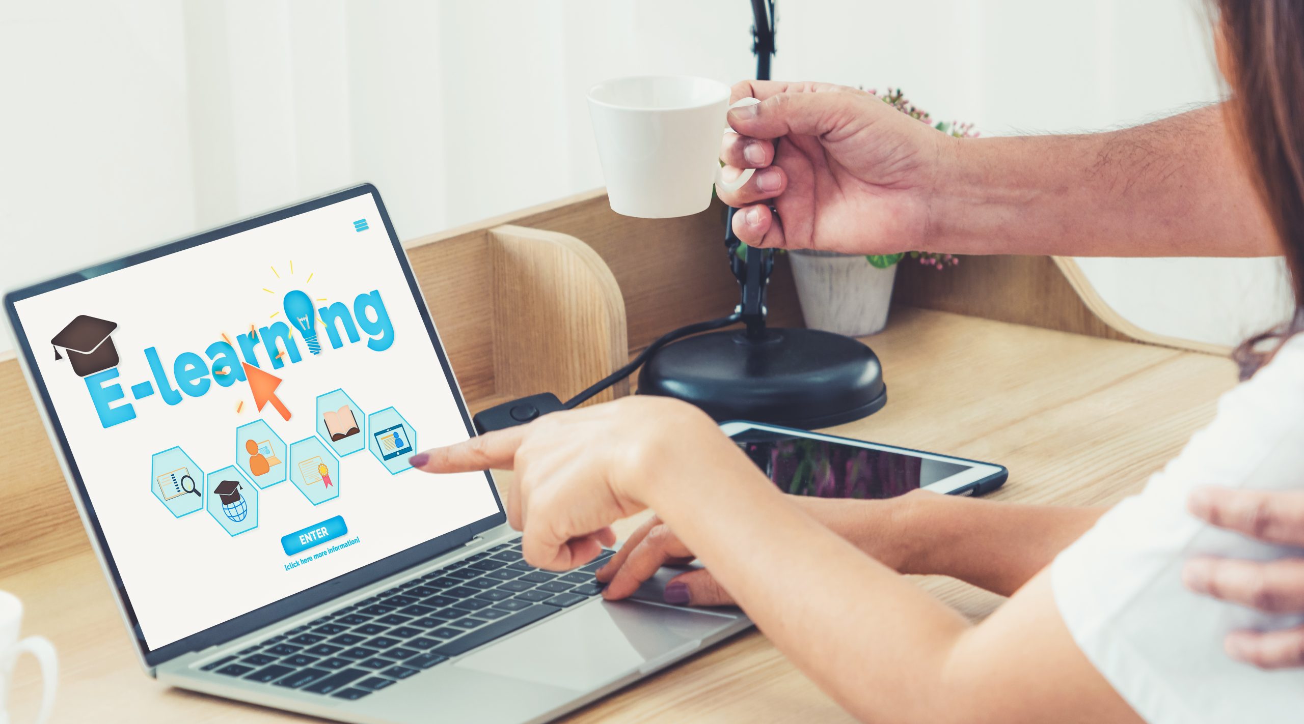 Learner / Starter plan